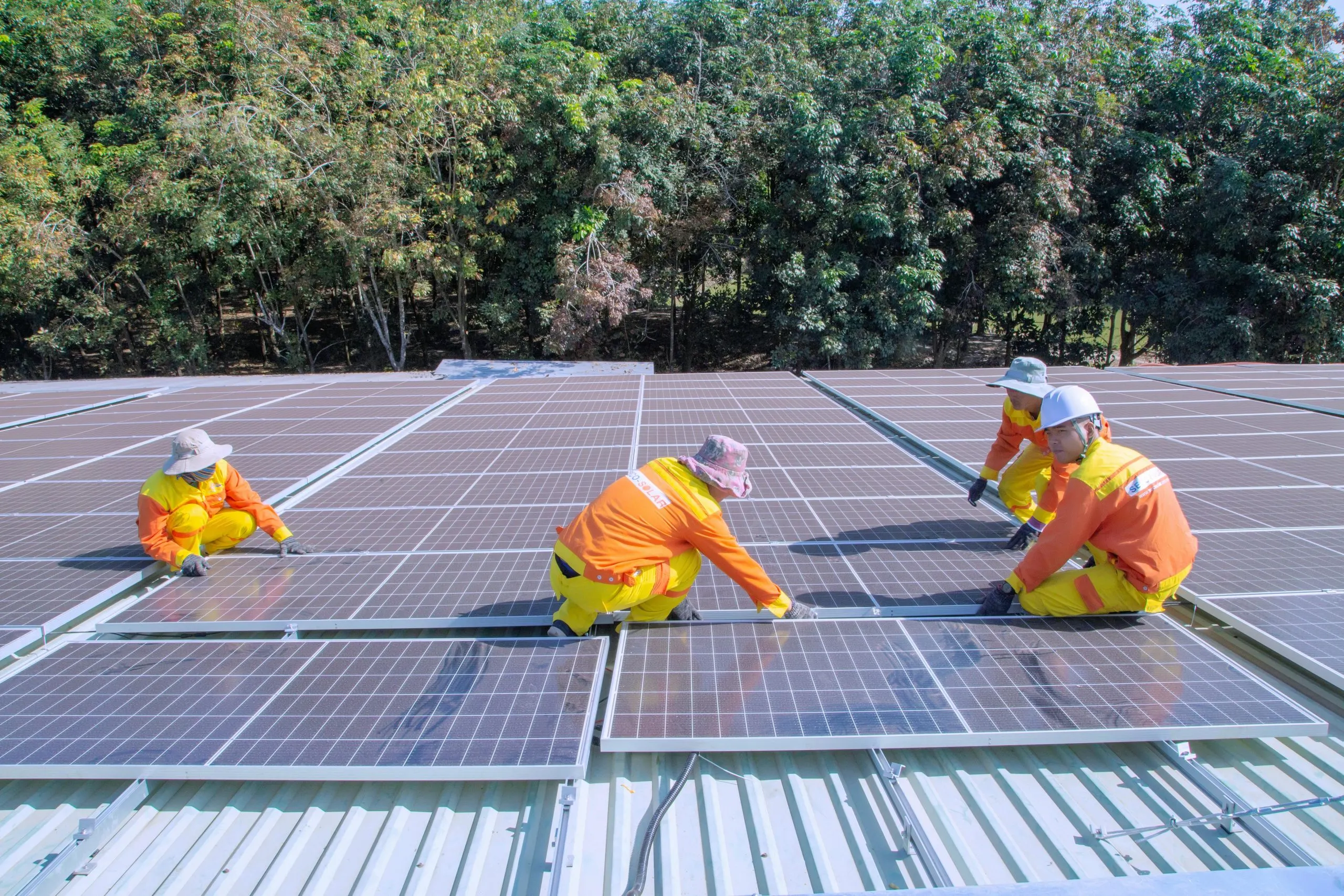 Sistema de energía solar en proyecto Bio House